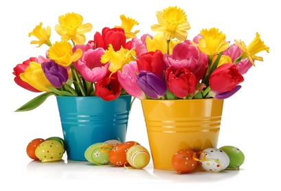 Fiori di Pasqua con uova di Pasqua